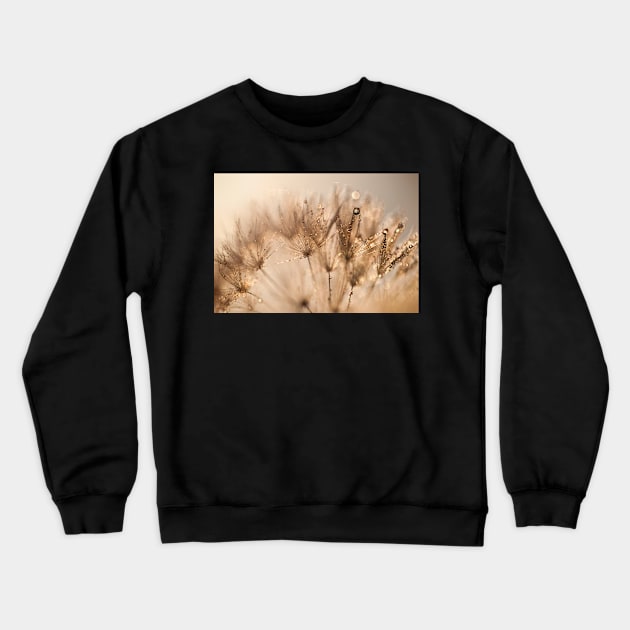 Dandelion Dew Crewneck Sweatshirt by GaryMcParland